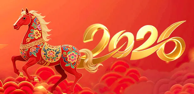 Vietnamese New Year Celebration