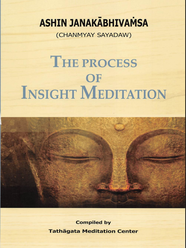 The Process of Insight Meditation